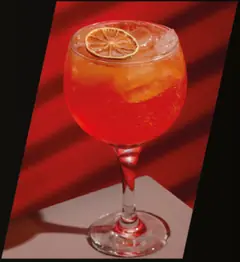Gin Tropical